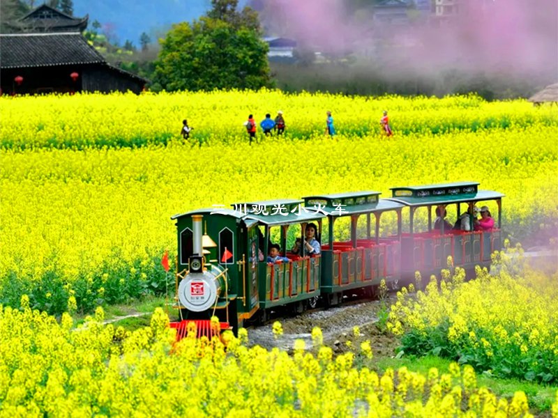 观光小火车,旅游观光火车定制,景区观光小火车厂家