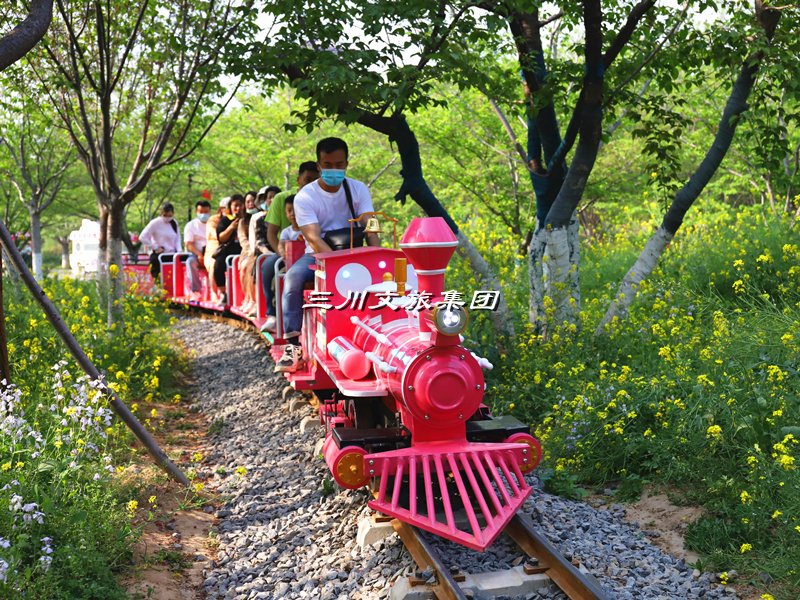 探秘农庄花海:穿越稻田,乘坐蒸汽小火车的唯美旅程