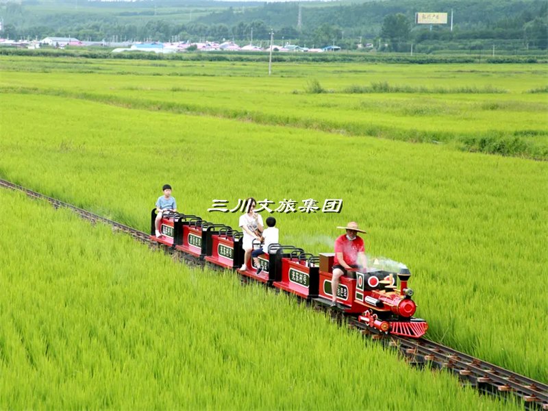 探秘农庄花海:穿越稻田,乘坐蒸汽小火车的唯美旅程