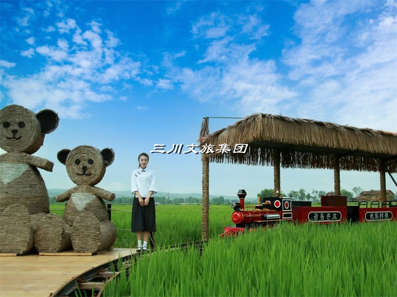 轨道观光小火车,轨道观光小火车厂家,轨道观光小火车价格