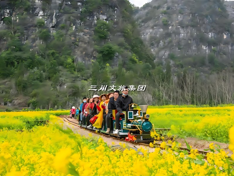 花海小火车,油菜花海小火车厂家,花海观光小火车价格