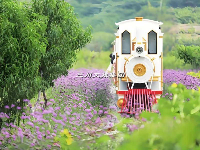 花海小火车,油菜花海小火车厂家,花海观光小火车价格