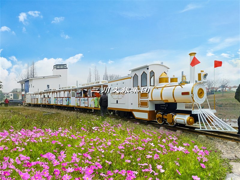 如何精准设计旅游观光火车的景区路线规划?