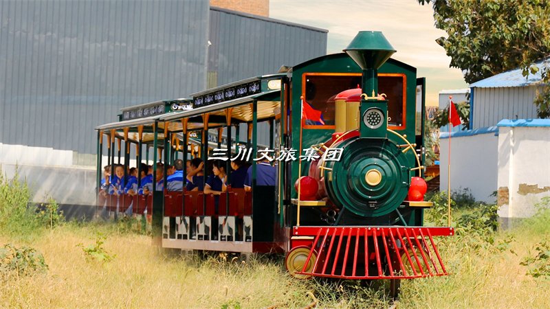豪华电动轨道观光小火车:探索城市的新选择