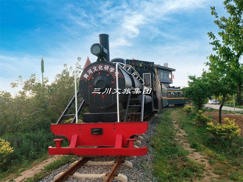 豪华电动轨道观光小火车：探索城市的新选择